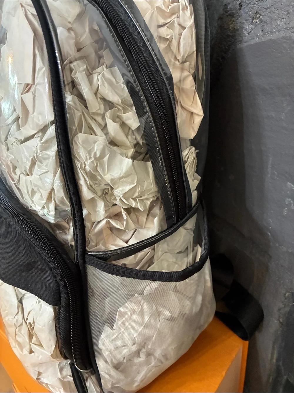 Baggallini Clear Backpack with Black Trim and Silver Accents